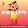 Watermelon Cantaloupe Honeydew By ELFBAR 5000 Puffs Disposable 20mg