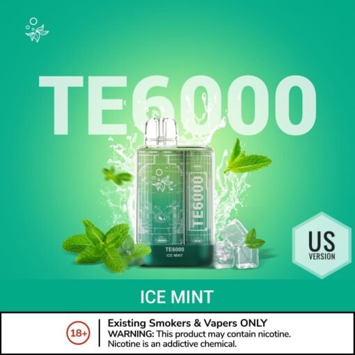 ELFBAR TE6000 Disposable Vape 6000 Puffs Puffs ICE MINT