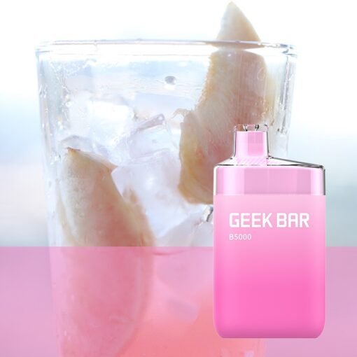 Geek Bar B5000 Rechargeable Disposable Juicy Peach Ice IN DUBAI 20MG