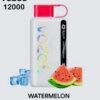 Vozol Star 12000 Puffs Disposable Vape Watermelon Ice